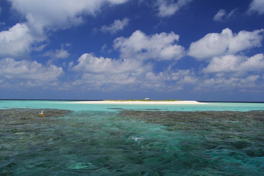 Local Island Inn Hangnaameedhoo Exterior foto